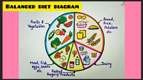 Balanced Diet Chart Drawing