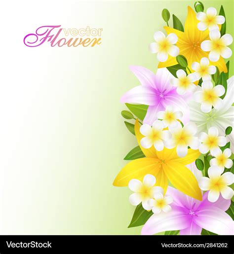 Beautiful flowers background Royalty Free Vector Image