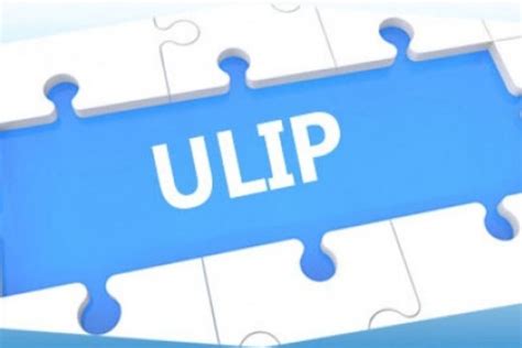 ULIP Calculator Features And Benefits: What It Is And Why Use It? - Procaffenation