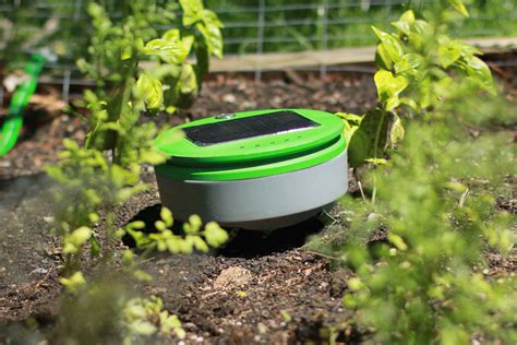 This $300 Robot Can Weed Your Garden - Bloomberg