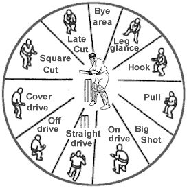 Start Cricket: Cricket Ground Field Positions