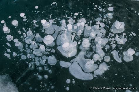 Abraham Lake Bubbles- How to See the Frozen Bubbles in Abraham Lake