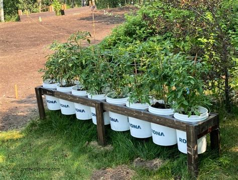 How to Build a Bucket Garden Stand - Pretty DIY Home