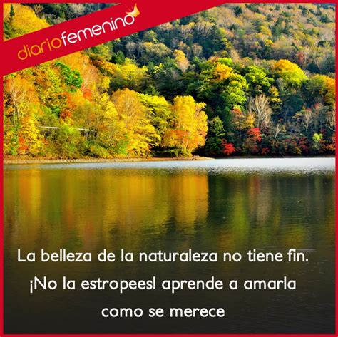 Frases para amar la naturaleza: su belleza no tiene fin