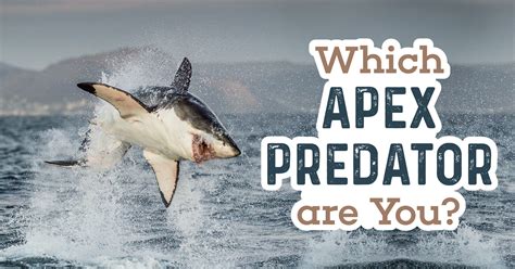 Which Apex Predator Are You? - Quiz