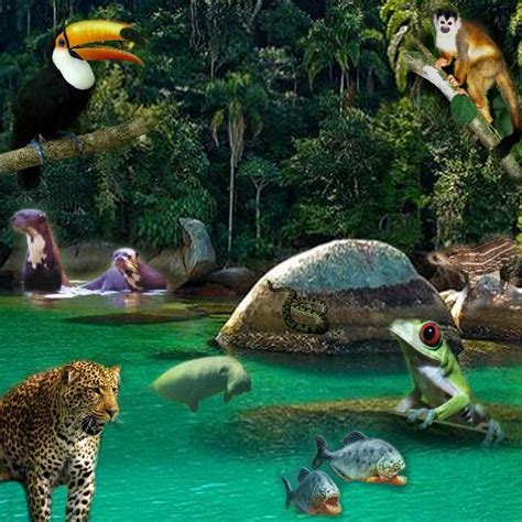 Brazil - rainforest animals | Digital Scrapbooking at Scrapbook Flair