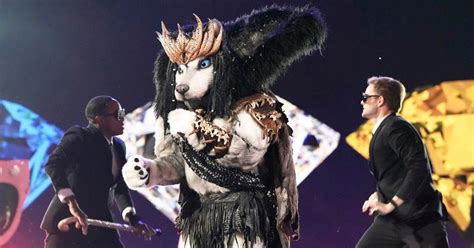 Who Is Husky on The Masked Singer? Celebrity Revealed! [SPOILERS]