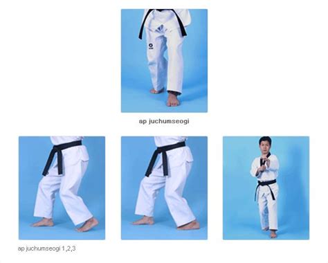 Taekwondo Stances | Taekwondo, Taekwondo training, Stance