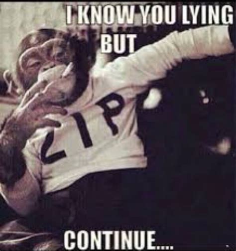 I know you lying, but continue | Funny quotes, Sarcastic quotes funny ...