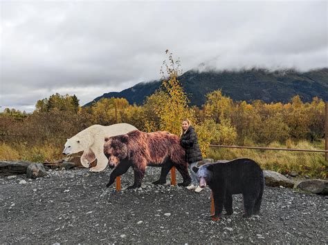 Alaska Wildlife Conservation Center