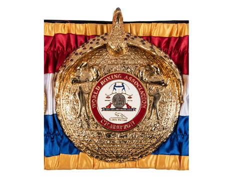 2012 Super WBA Super Welterweight Championship Belt Presented To Floyd ...