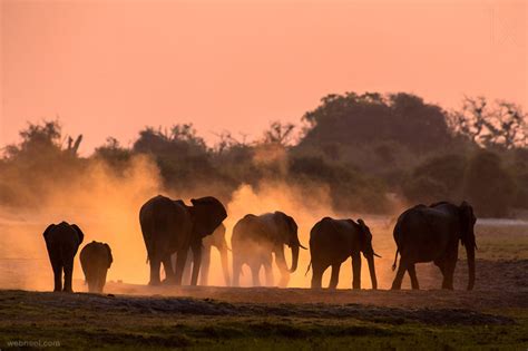 80 Best Award Winning Wildlife Photography examples from around the world