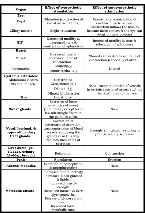 Sympathetic Vs Parasympathetic Chart