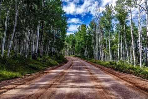 Aspen Sightseeing Adventures: Top 8 Biking and Hiking Trails