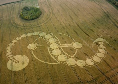 The World's Coolest And Real Crop Circles