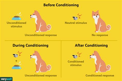 Classical Conditioning: How It Works With Examples