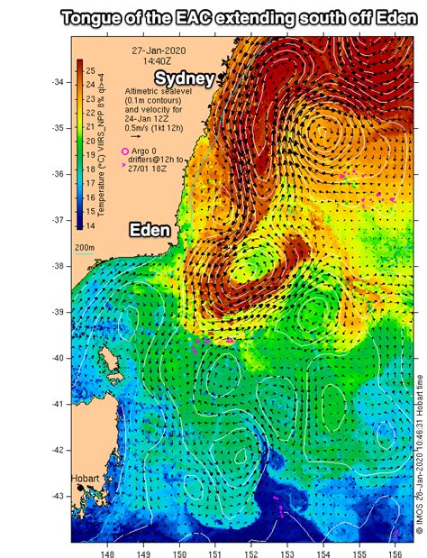 Analysis: Intrusion of the East Australian Current | Swellnet Analysis ...