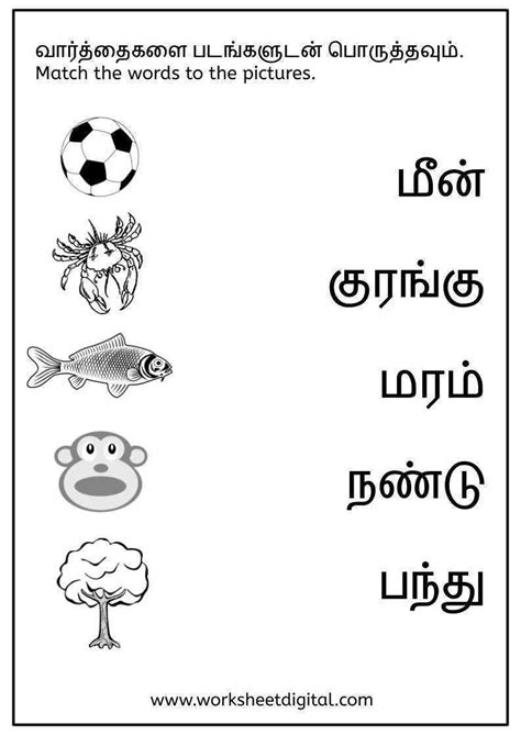 Uyir Mei Ezhuthu Worksheets Printable Tamil Worksheet - vrogue.co