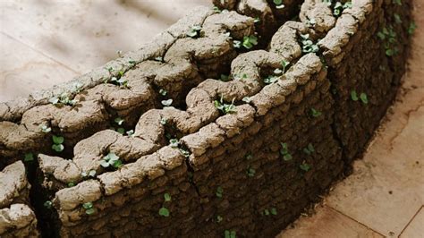 3D Printed Dirt Walls to Grow a Garden - February 2022