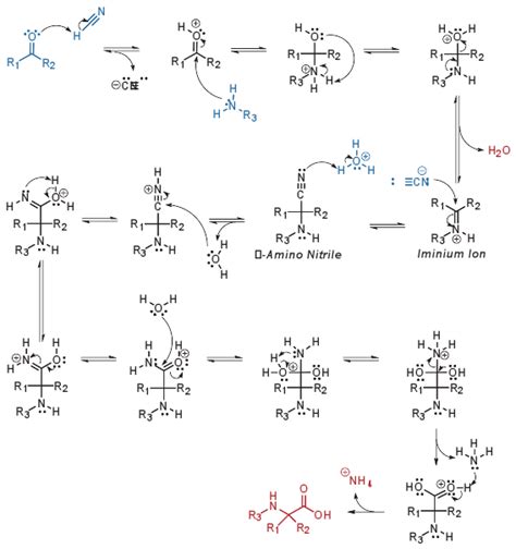 Strecker 氨基酸合成（Strecker Amino Acid Synthesis）-百灵威