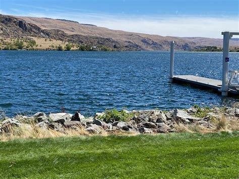 Alta Lake State Park (Pateros) - 2021 All You Need to Know Before You Go (with Photos) - Pateros ...