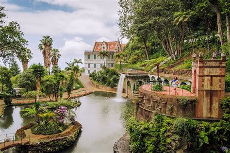 12 Awesome Things to do in Funchal, Madeira (PLUS Travel Tips & Top-Rated Tours) - The Intrepid ...