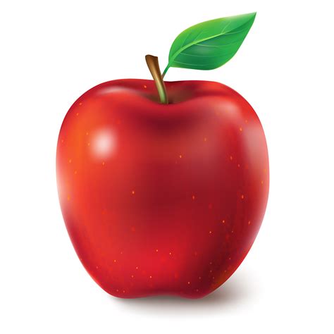 Vector illustration of a juicy apple - Download Free Vector Art, Stock Graphics & Images