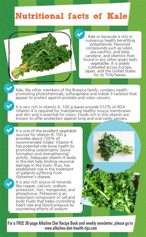 Nutritional Facts of Kale