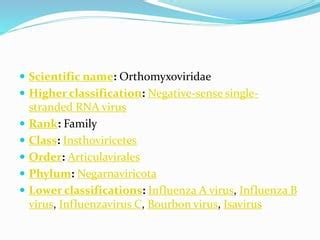 Orthomyxovirus | PPT