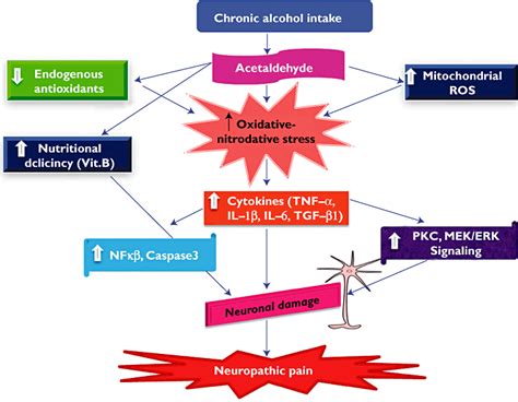 Alcoholic neuropathy: possible mechanisms and future treatment possibilities - Chopra - 2012 ...