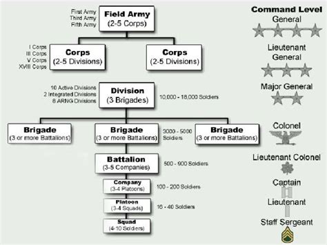 malaysian government structure chart - Miss Meghan Washington