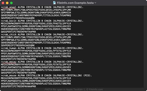 FASTA File - What is a .fasta file and how do I open it?