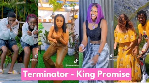 Terminator - King Promise |Best Tiktok Dances🔥🔥 - YouTube Music