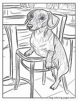 Dachshund Coloring Pages – 46 Free Printable Fun For Wiener Dog Lovers sketch template