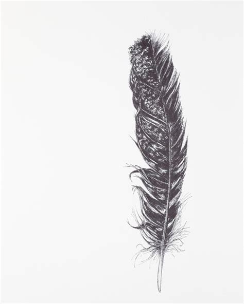 Feather Outline Drawing at PaintingValley.com | Explore collection of ...