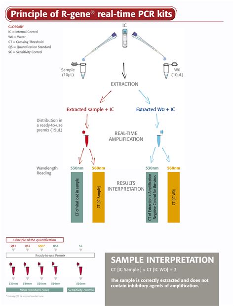 BK Virus R-GENE® | bioMérieux India