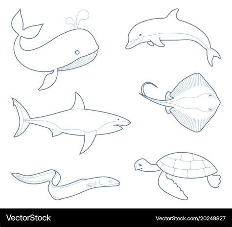 Outlines of sea creatures Royalty Free Vector Image