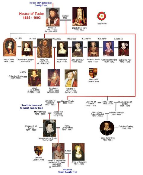 House of Tudor Family Tree | Royal family trees, Windsor family tree, Tudor