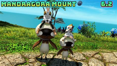 FFXIV: Mandragora Mount - 6.2 - Island Sanctuary - YouTube