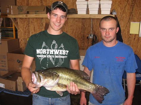 A little luck nabs new state largemouth bass record | Missouri ...