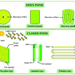 Open and closed pond cultivation system of microalgae. Open and closed... | Download Scientific ...