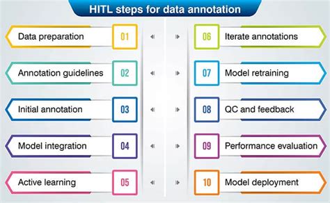 How Human-in-the-Loop Boosts AI-driven Data Annotation