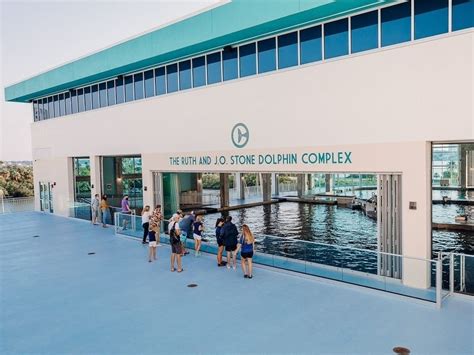 Clearwater Marine Aquarium Unveils New Viewing Areas | Clearwater, FL Patch