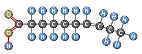 Saturated Fats, Trans Fats and Unsaturated Fats Explained - Channel LFD