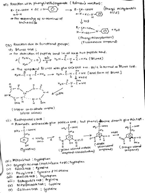 Properties of amino acids: physical and chemical - Online Biology Notes