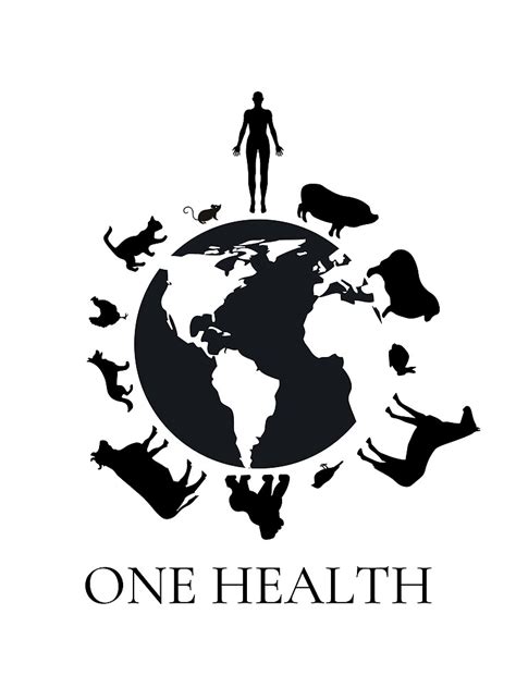 "One Health" Poster by FLHeifer | Redbubble