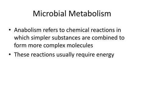 PPT - Microbial Metabolism PowerPoint Presentation, free download - ID:2204317