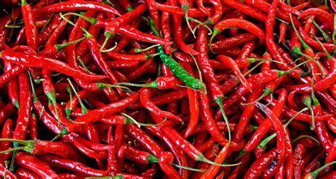 The cool science of hot peppers