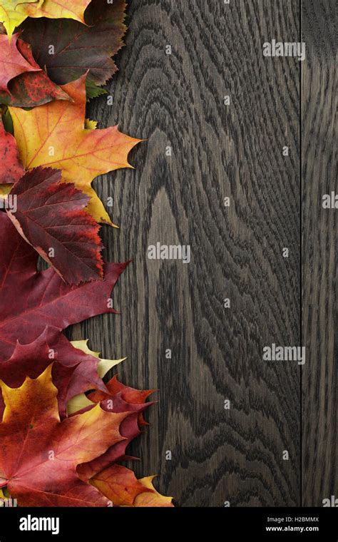 maple fall leaves on oak table border photo Stock Photo - Alamy