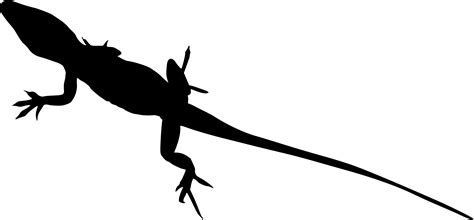 8 Lizard Silhouette (PNG Transparent) | OnlyGFX.com